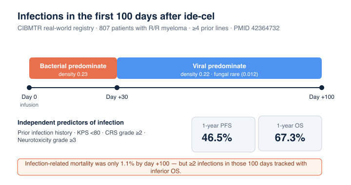 AtrashShebli's tweet photo. CIBMTR, 807 patients after ide-cel: 1-yr PFS 46.5%, OS 67.3%. Infection-related mortality 1.1% by day +100 - but 2+ infections in those 100 days tracked with worse OS. Bacterial early, viral after day +30. Surveillance matters. #mmsm #myeloma #MedTwitter #MedEd https://t.co/hewcDa2L57