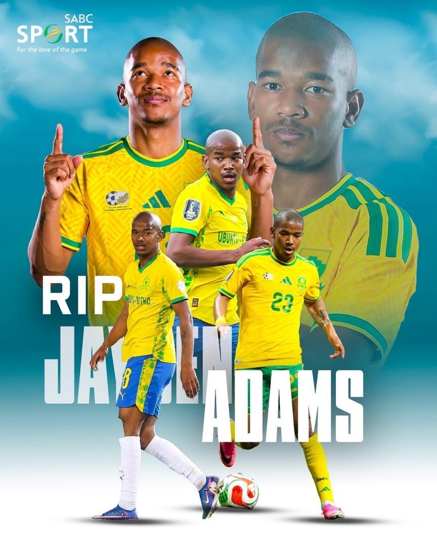 RealKoenaza's tweet photo. Please reshare https://t.co/XWZOKHH0A3