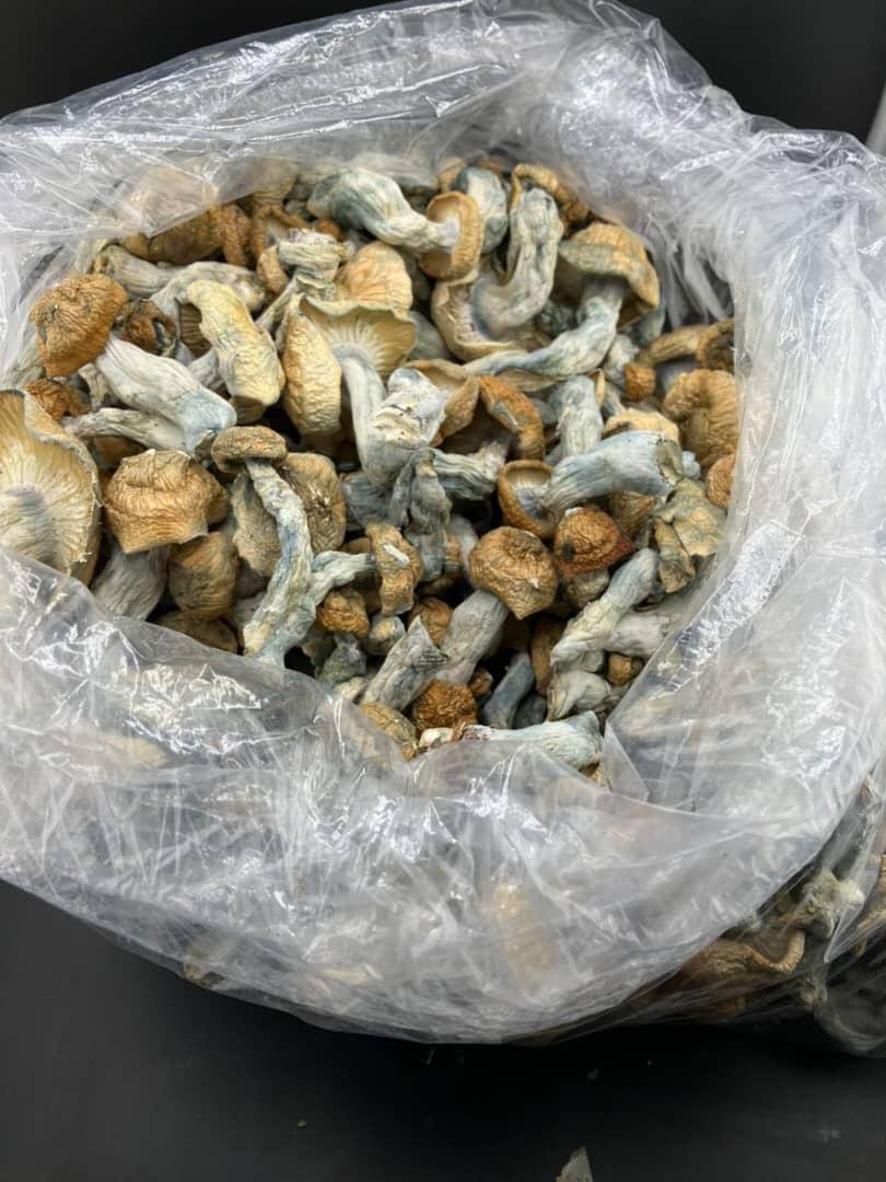 ScottHHodges's tweet photo. Sofia Varna. Weed https://t.co/BA7Srrwu0Q
Marijuana Coco coca hash 
Ecstasy Sofia Bulgaria Varna Dmt Ketamina cocaina crystal meths 
Mushrooms, Lsd https://t.co/c06zvJ480j
