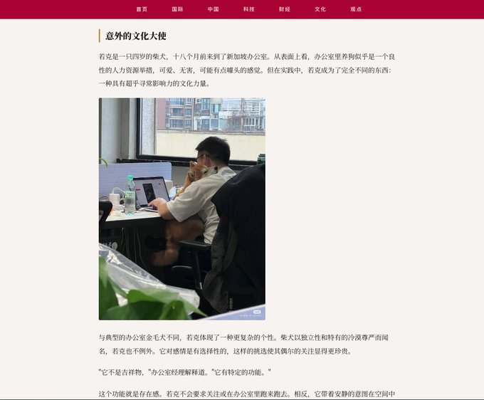 Cryptoguyonsoll's tweet photo. Robinhood has a LITERAL DOGE at their HQ in singapore, i kid you not.

A Singapore news outlet published a deep dive on workplace culture  

At the bottom there is an image of Roku a Shiba Inu dog  Translate it and read for yourself  
THIS IS SO GOOD.
https://t.co/0PAAEtZS0T https://t.co/hsgLBXeWfz