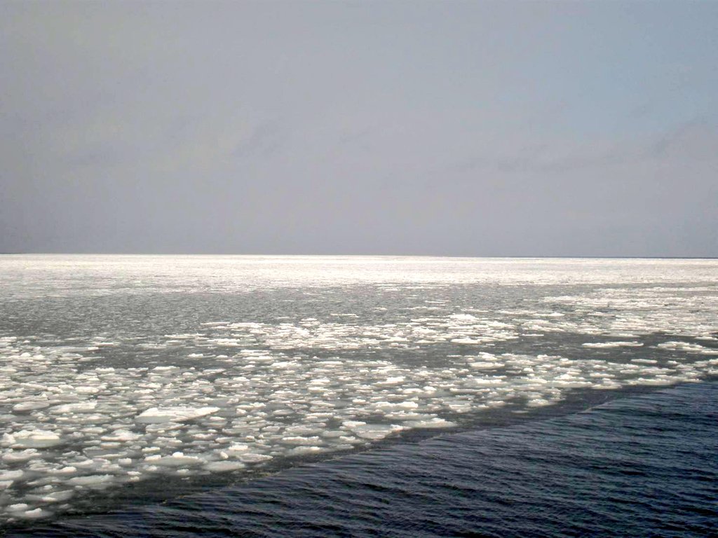 kafuka123null's tweet photo. 夏の暑さをふっとばす
紋別の流氷と流氷砕氷船ガリンコ号

甲板が人でいっぱいになる人気のツアー
ドリルで流氷を砕いて進む姿は迫力があります
①船尾から船の航路と流氷
②ドリルで流氷を砕いて進む
　(※隣の乗船客の声も入ってます)
③流氷と船の通り道
④海に浮かぶ流氷

#バクステ旅行部 https://t.co/5OZjhsJyl3