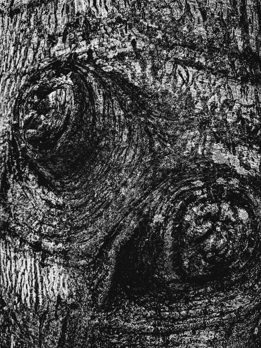 NSCSTJ1967's tweet photo. The unconscious aspect in the city on July 12th 2026.

#unconscious 
#city
#blackandwhite 
#photooftheday
#NFT https://t.co/Nd4Yi8tMNp