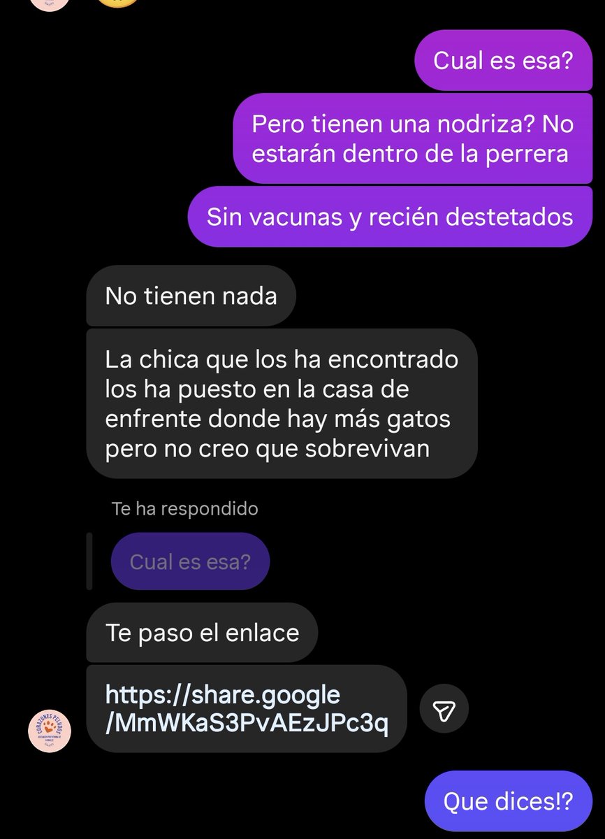 Neinei_art's tweet photo. Estoy que echo humo.

🆘 AYUDA 🆘 
POR FAVOR.

Se encuentran 4 lactantes, los dejan en una colonia y a ver si sobreviven.
Y la asociación publica "caso externo urgente"
Les quedan HORAS de vida como nadie haga nada.

POR DIOS!!! ESTE CASO NO ES EXTERNO DE NADIE. ESTE CASO ES DE TODO EL QUE LO VEA.

Por favor, yo no puedo más. Te lo prometo. No tengo ayudas del estado y estoy en la otra punta de España. Pero no miro a otro lado. Si alguien los puede recoger por favor. No aguantan el calor solos, necesitan fuente de calor, leche materna de gato y que les estimulen.

Me hago cargo de los gastos. Otra vez. 
Pero que alguien los recoja por favor os lo pido. 
Pueblo de Huelva.

Yo vivo en Cataluña.

Me pasan estos casos como: Ale, ahora apáñate, que yo ya te lo he dicho.

No soy mágica ni tengo un helicóptero.  Tengo 1200 km de por medio. Que no puedo estar en todas partes. Por favor, alguien que esté cerca. No tenéis que pagar nada.