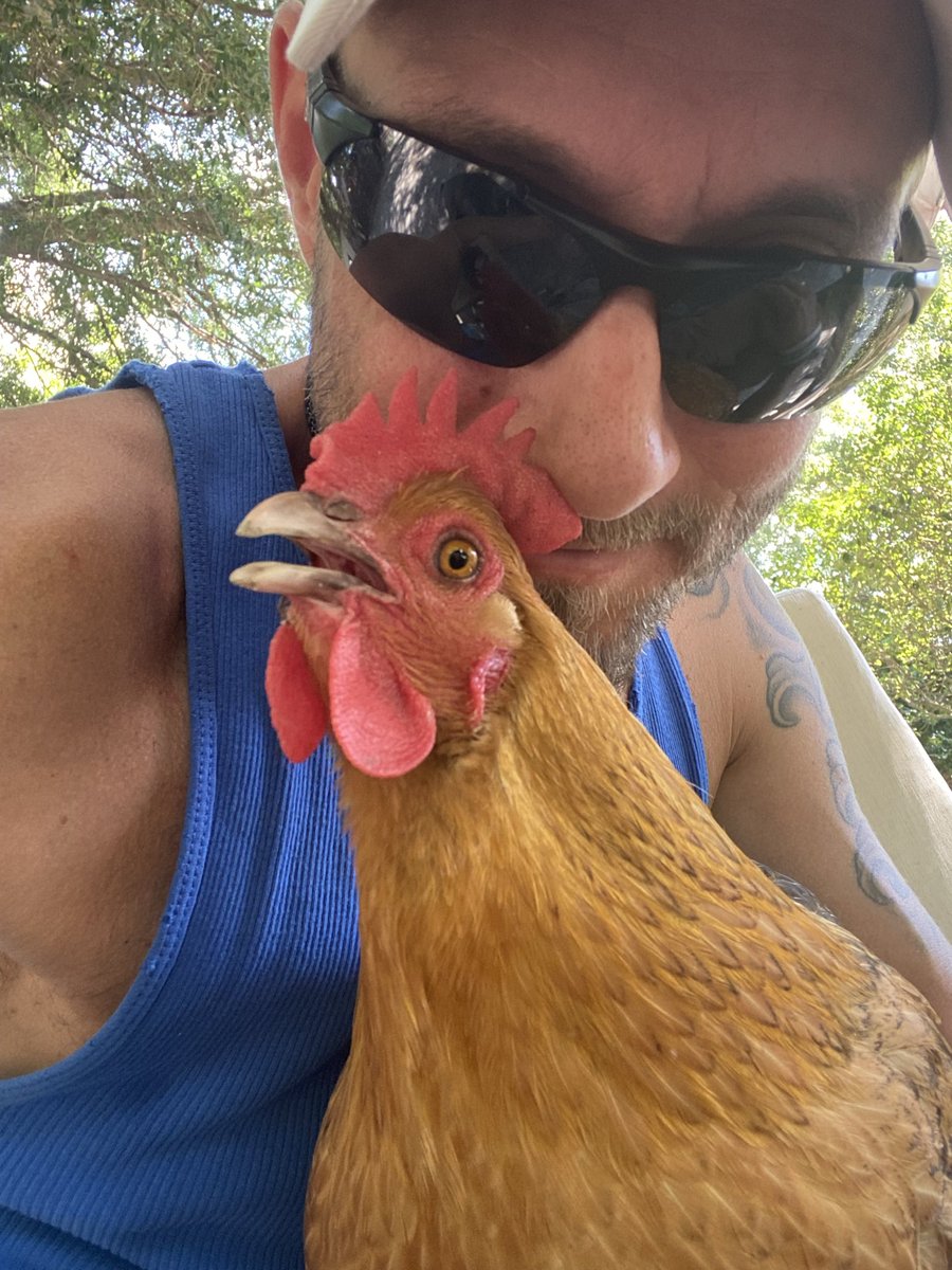 TooLegitToCoop's tweet photo. SATURDAY BIBLE STUDY WITH SOME PETS 🐶🐔. #bible #study #chicken #dog #pets https://t.co/neY5FeEysq