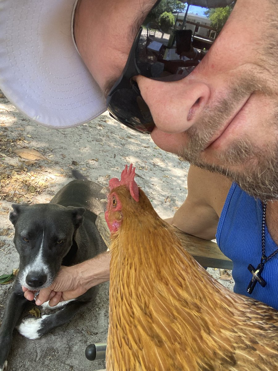TooLegitToCoop's tweet photo. SATURDAY BIBLE STUDY WITH SOME PETS 🐶🐔. #bible #study #chicken #dog #pets https://t.co/neY5FeEysq