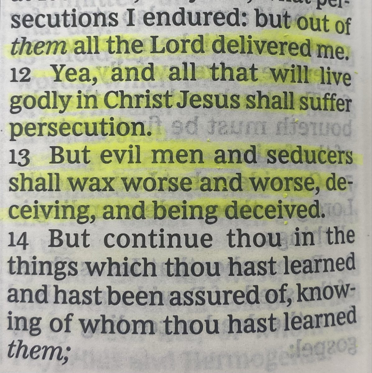 TooLegitToCoop's tweet photo. SATURDAY BIBLE STUDY WITH SOME PETS 🐶🐔. #bible #study #chicken #dog #pets https://t.co/neY5FeEysq