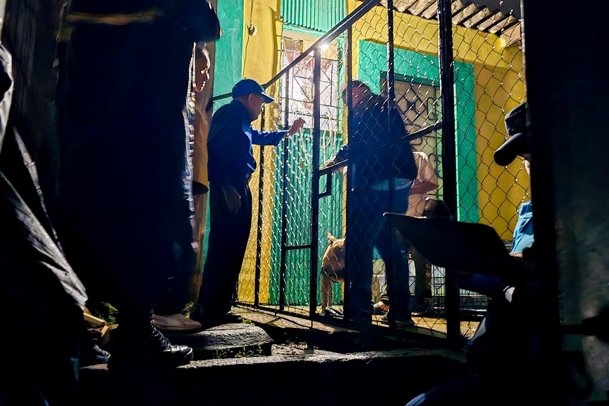 alcaldia_ss's tweet photo. En San Salvador Centro reafirmamos nuestro compromiso de actuar con prontitud ante cualquier caso de maltrato animal, velando por la protección y el bienestar de nuestros animales. 🐾 https://t.co/Cii6ZPeWmR