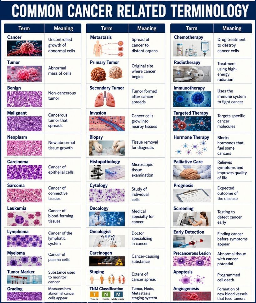 VitalViz's tweet photo. Common Cancer Related Terminologies . https://t.co/WJOdEMbSva