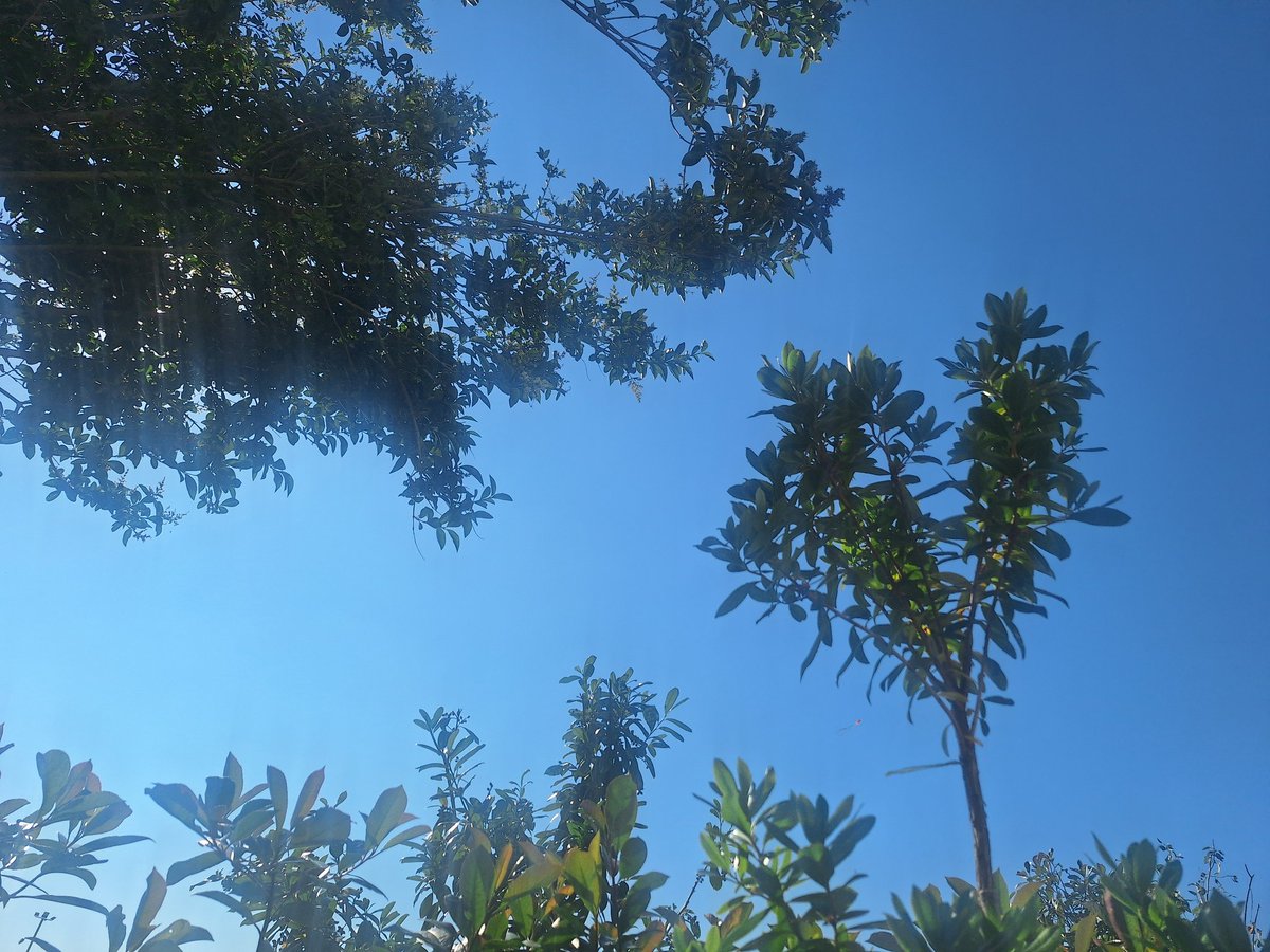 Cbe167's tweet photo. We're told that geoengineering is a conspiracy theory, and the lines in the sky are just innocent condensation trails. So have all the flights been grounded today? On a Saturday in July?
@DanWalesReform
@chatswithem 
@EssexPR 
@BGatesIsaPyscho 
@nogps1 https://t.co/oHZ0zirdhM