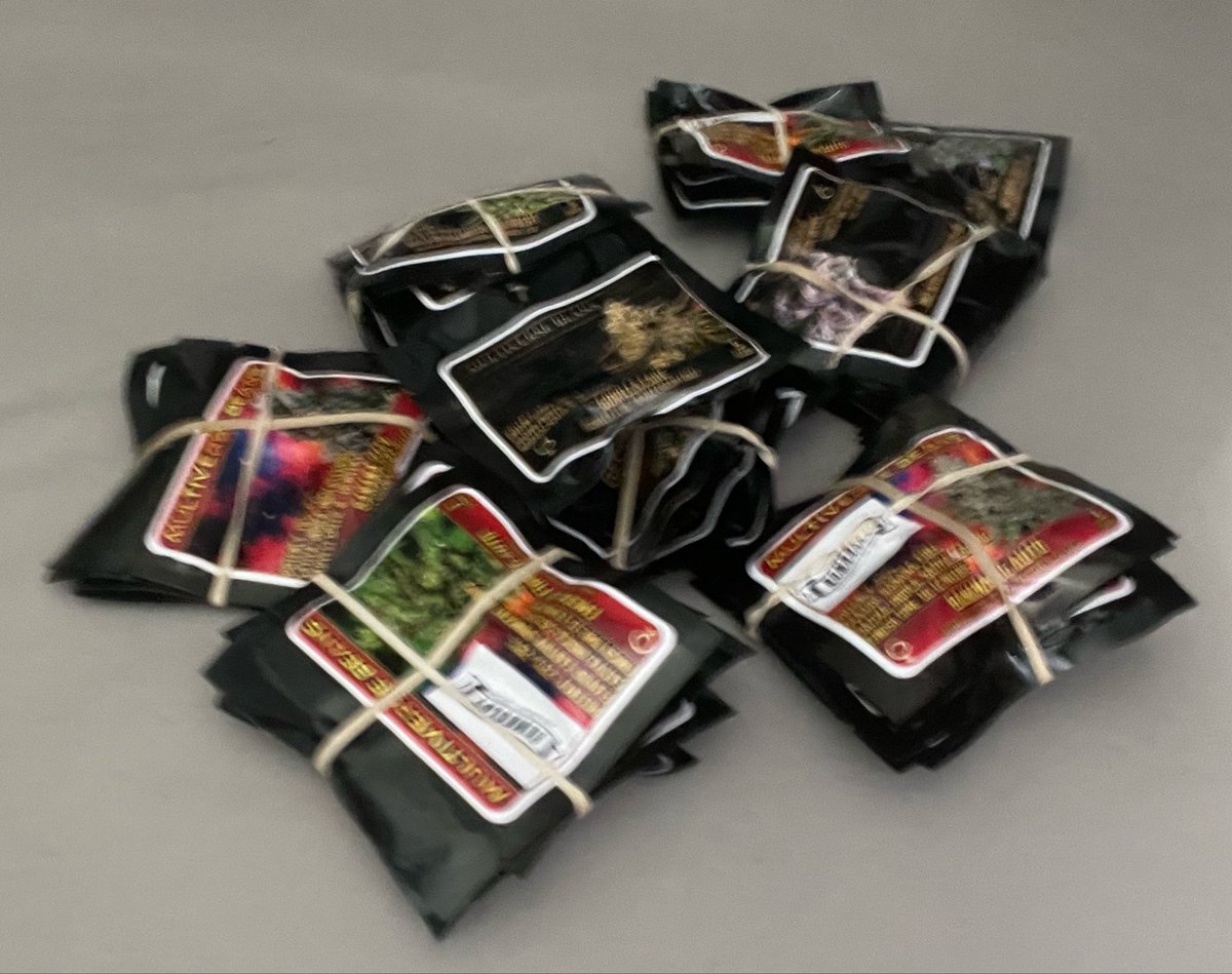 PLUGSRUS's tweet photo. new seed packs 
200+
let’s go on a hunt 🔭 https://t.co/D1IsoVeXH9