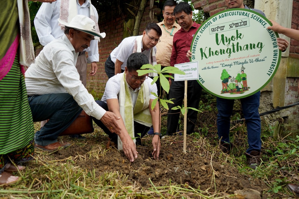 MU_Forestry's tweet photo. Great Effort. Committed to conserve The genepool of forest resources of Manipur, The Department of Forestry @ManipurUniverse has been observing Uyok Khongthang event since 2024 to promote the campaign #Plant4Mother,   "Emagi Mingda U-Thasi" https://t.co/djWkVbXfMT