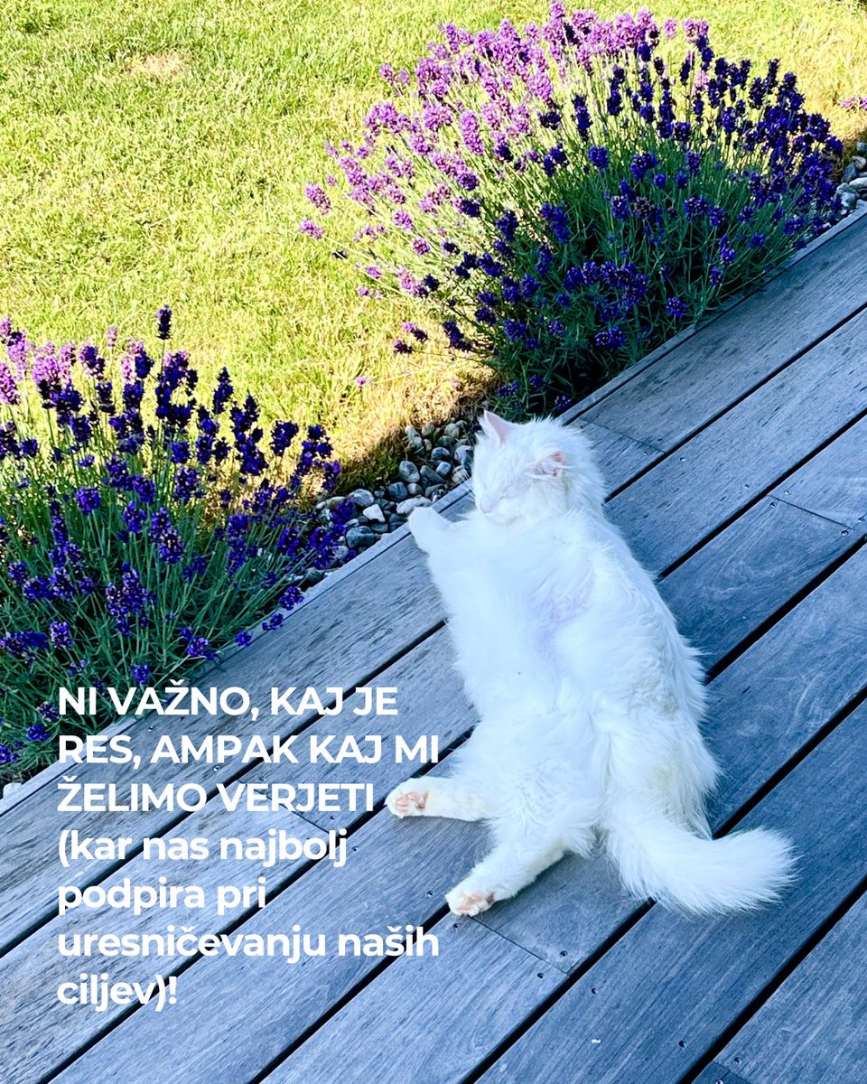 AnjaHorvat's tweet photo. Pogosto zmotno mislimo, da nas v življenju omejujejo okoliščine.

V resnici nas bolj omejuje pomen, ki ga okoliščinam pripišemo.

Naši možgani niso objektiven snemalec resničnosti. So stroj za potrjevanje prepričanj, zato ves čas iščejo dokaze za kar že verjamemo.

#sanohipnoza https://t.co/gUfkFfZyOR