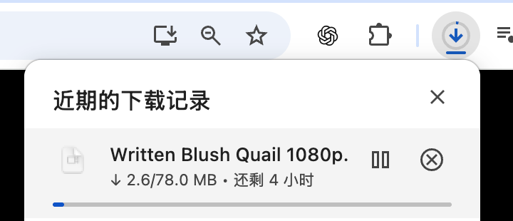 栗噔噔 tweet media