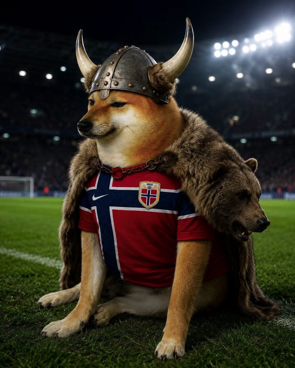 mememoarreola's tweet photo. Ahora lo entiendo, mi ex me puso los cuernos para convertirme en un vikingo y apoyar a Haaland, visionaria... https://t.co/T58ykDjNMV