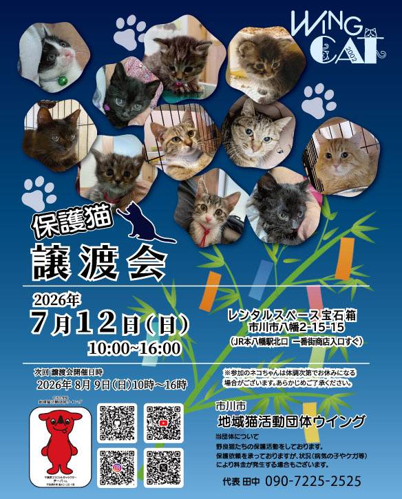 wingcat2002's tweet photo. 明日はいよいよ譲渡会です❗️かわいい猫ちゃん達がお待ちしております🐈️ https://t.co/Rnqk90vDcN