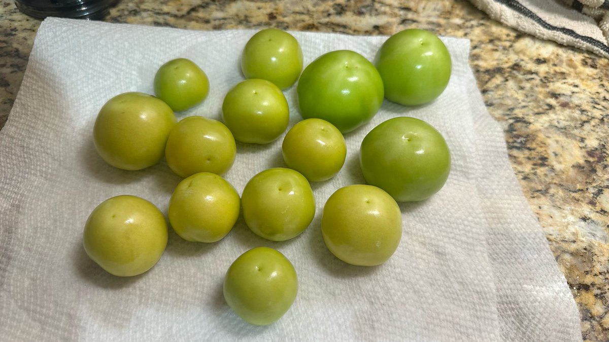 SharonH79111's tweet photo. God’s bounty - several batches of marinara have been made and some frozen and this year we grew tomatillos so I made salsa Verda  🙌🏻 we learned a lot thru trial/error and @YouTube over the years with our backyard garden 🤣🙌🏻 https://t.co/n2uwBTxl0I
