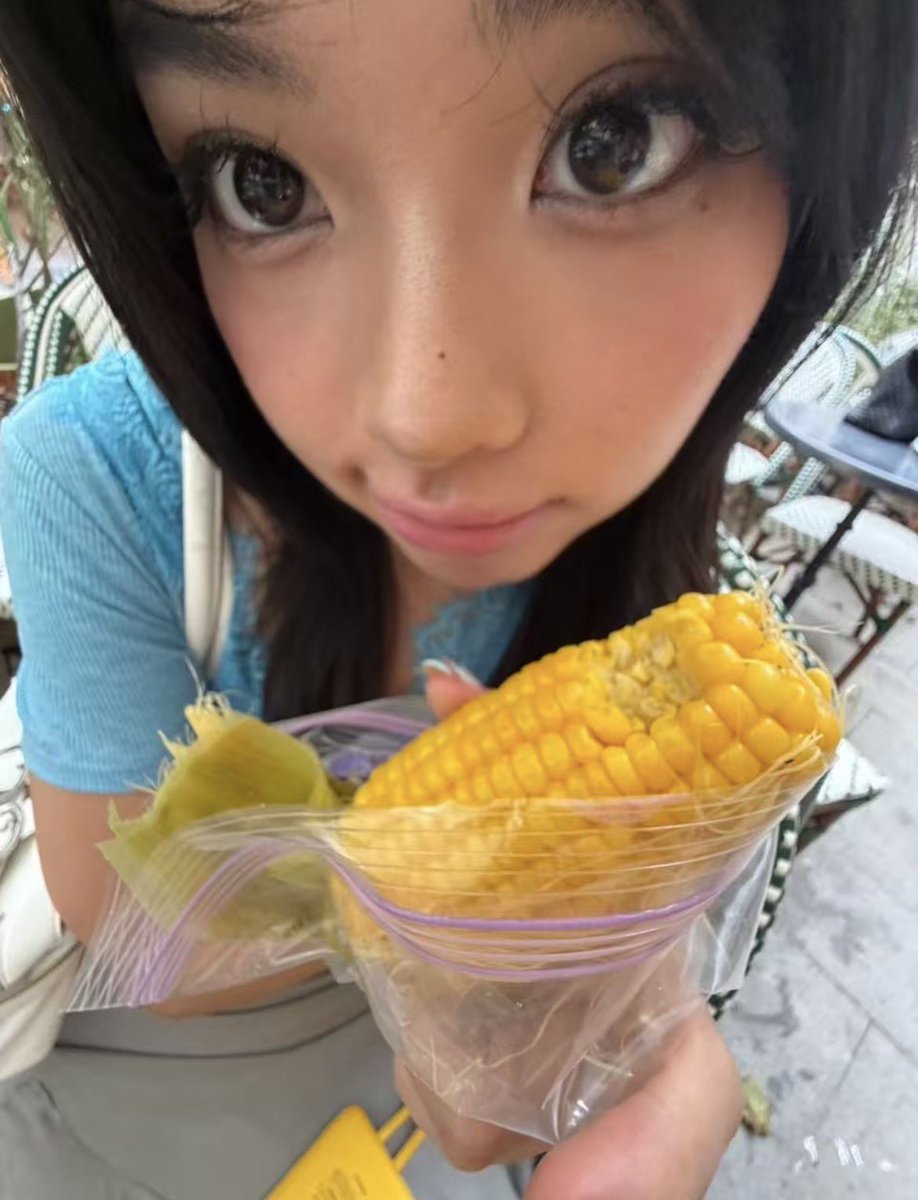 ✉︎ tweet media