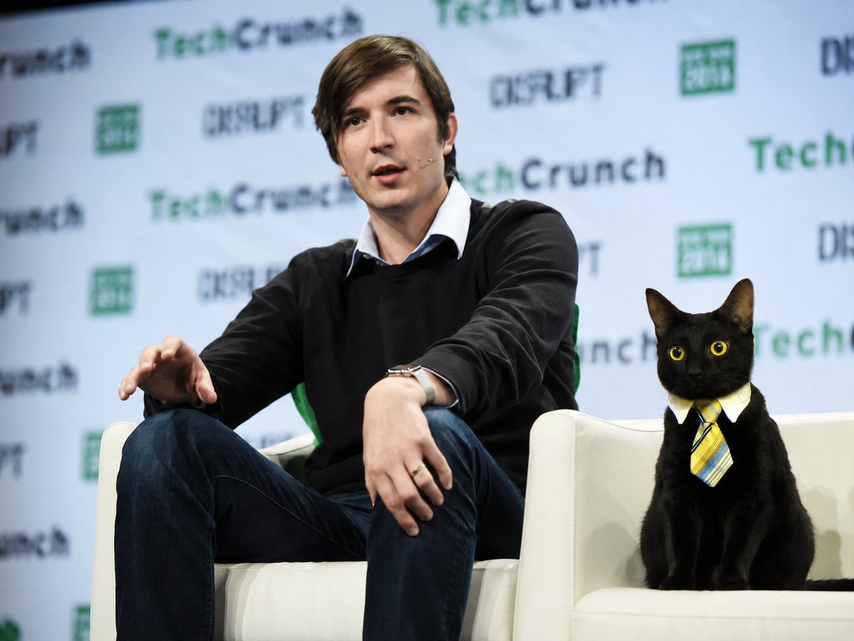 luk636's tweet photo. @RobinhoodCrypto @vladtenev Cat Season🐱 https://t.co/CE1NQnTGPJ