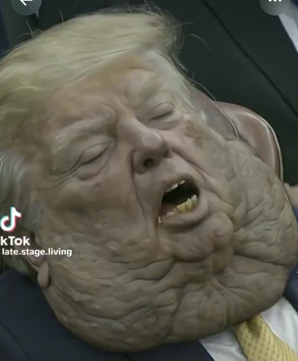 Saminnle2's tweet photo. @realDonaldTrump From Tik Tok https://t.co/mlrE86s1iB