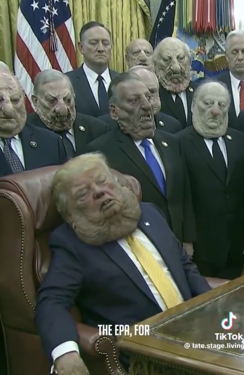 Saminnle2's tweet photo. @realDonaldTrump From Tik Tok https://t.co/mlrE86s1iB