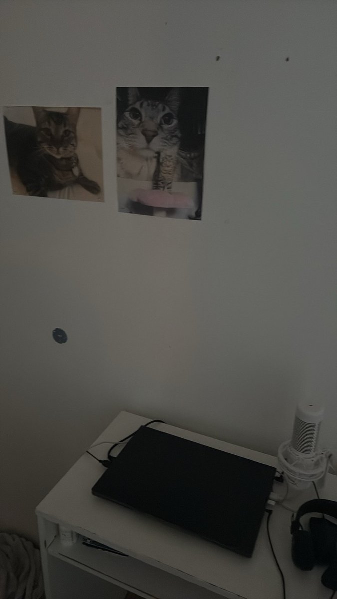 mypet_fish's tweet photo. my setup https://t.co/a95m5JF3sA