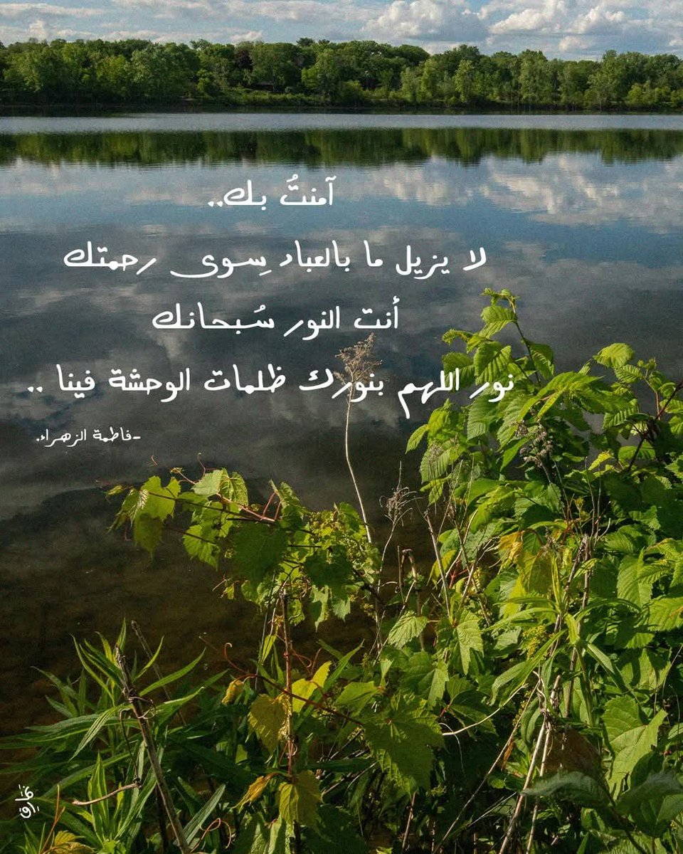 NosaybaYousef's tweet photo. https://t.co/juwDPh2ROH