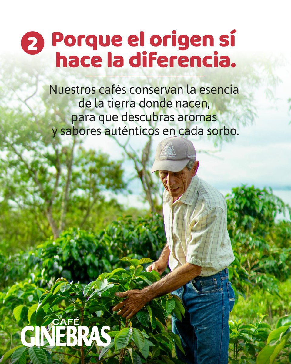 CafeGinebras's tweet photo. Gracias por elegir un café con origen, por confiar en el trabajo de nuestras familias caficultoras y por ayudarnos a seguir cultivando una tradición que nos llena de orgullo.

🛒  Encuentra tu café favorito en  https://t.co/pRLqjhJLL2 https://t.co/5NB66GW1OV