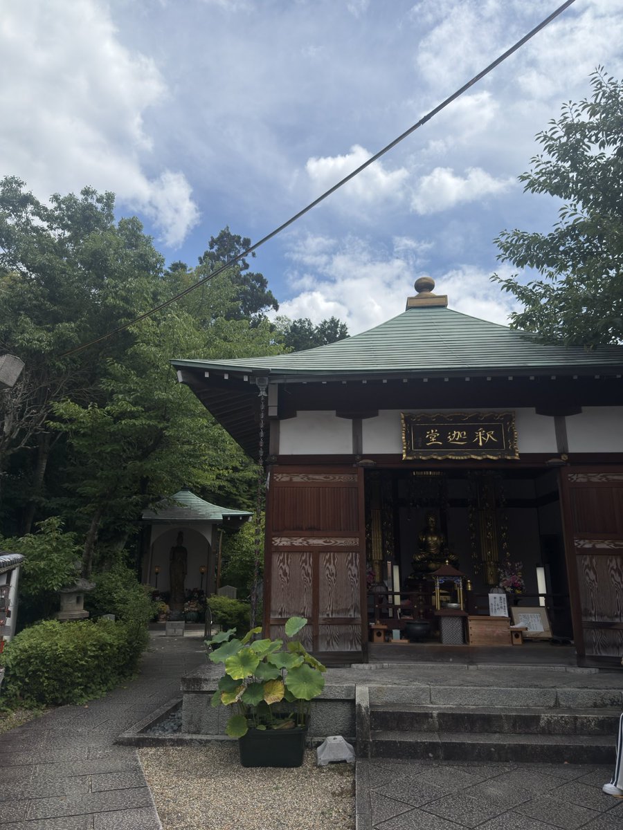 ronbiswas24's tweet photo. Walking through wishes, 1 torri ⛩️ at a time!

📍Kyoto, 🇯🇵 https://t.co/H6VXV5iPzD