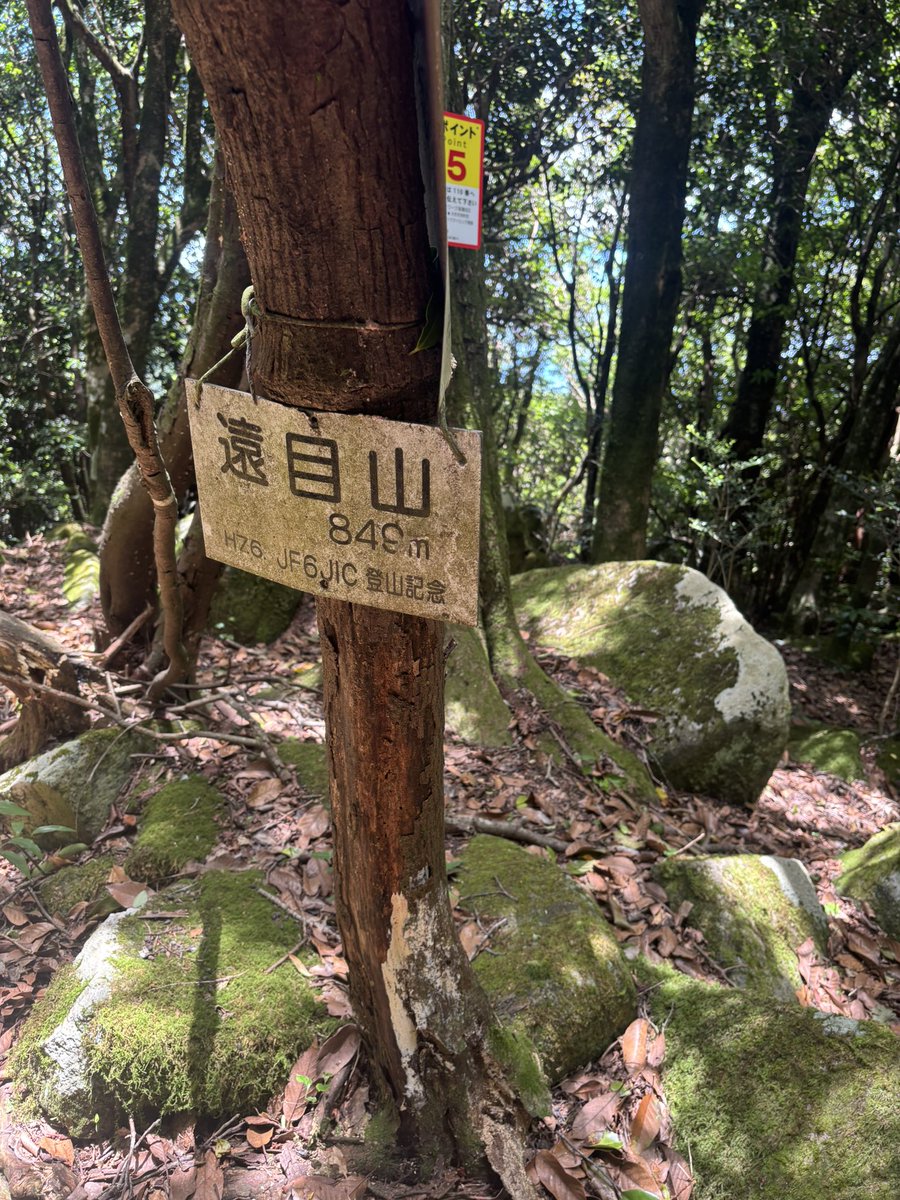 Livinghardnow's tweet photo. #郡岳
#遠目山
#長崎
#大村
#11キロ
#5時間���
#1年半ぶり登山
#バリシンドかった https://t.co/y4XIe4rX1I