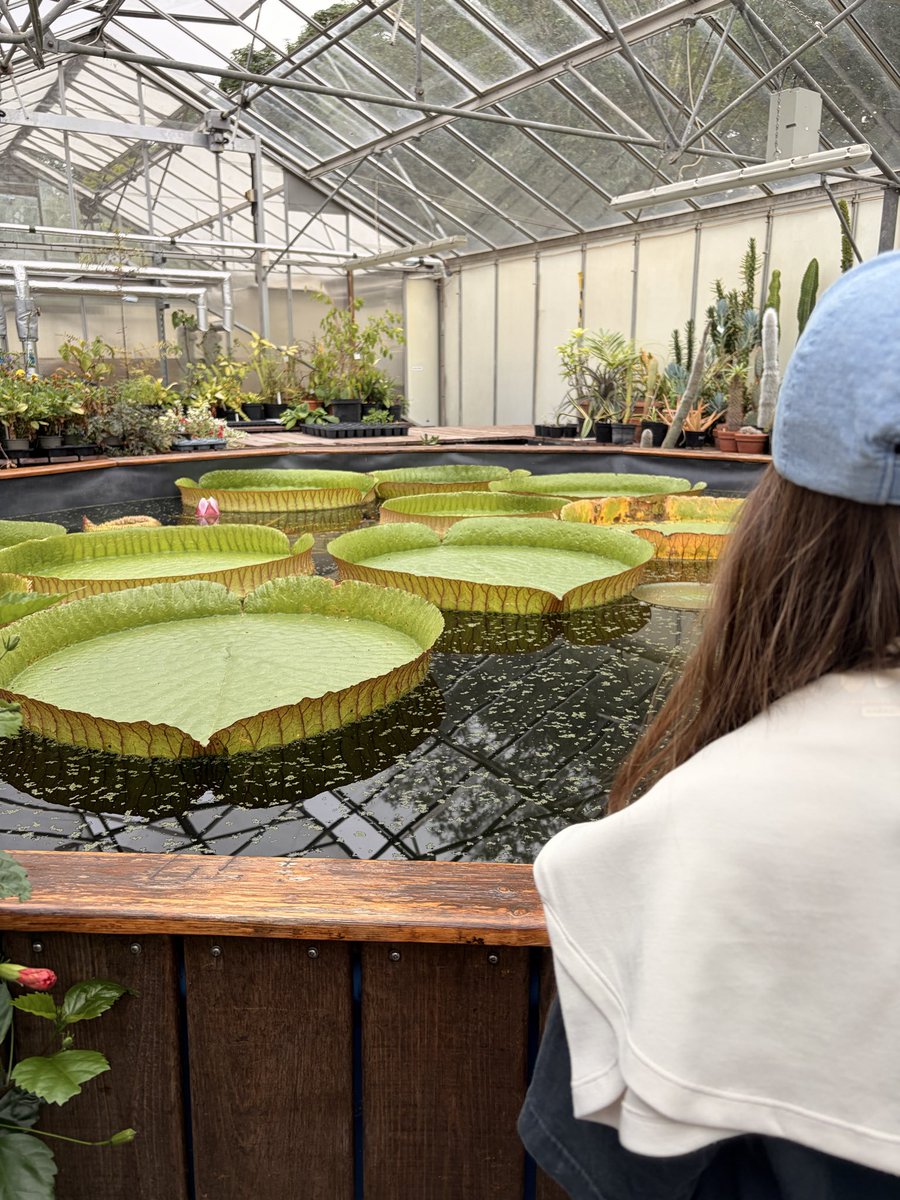 SIMONBG80's tweet photo. Lovely trip out to Durham Bionic gardens #durham #NatureisAmazing #Durham https://t.co/brUJBAZPnV