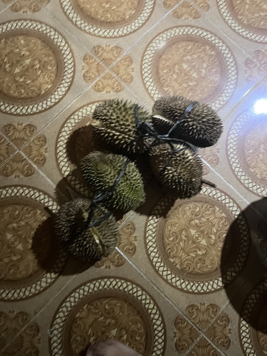 nanomin18's tweet photo. makan durian malam malam oke juga https://t.co/ZKp6Lp5AYA