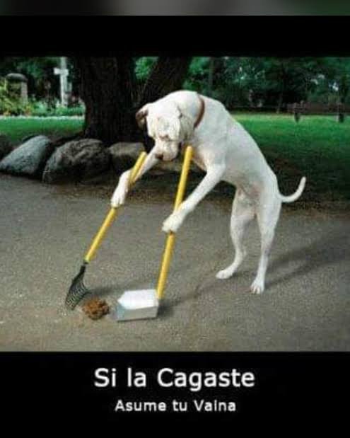 DorianTavella's tweet photo. @CanelaFalcone Si la cagaste asume tu vaina nigga https://t.co/jxSsN6OHxr