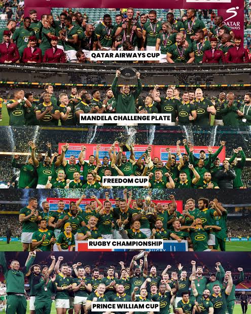 TNJ12's tweet photo. Sooooo,  the Springboks have just beaten all of the 6 Nations in a  "Calendar year" ! #BokSlam https://t.co/Er0LANeXzP