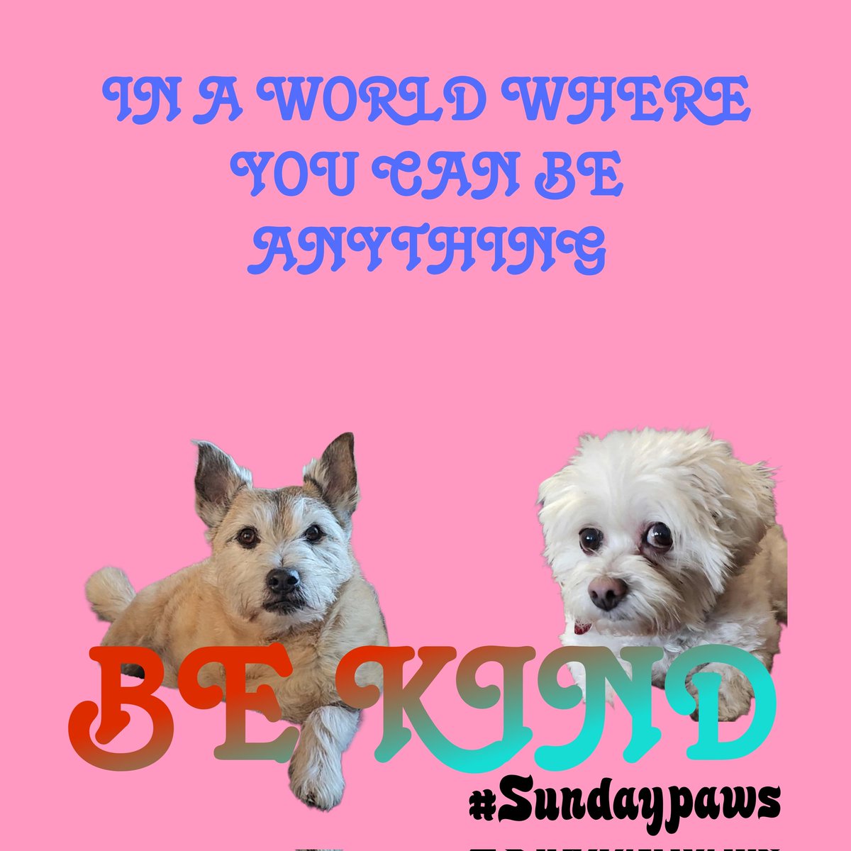 Pixie_Tooth's tweet photo. #OTLFP
Join Kipper & Alfie every Sunday for #SundayPaws. Pals can pop in at any tyme to read and share their own posts https://t.co/QuUTlg1JmR