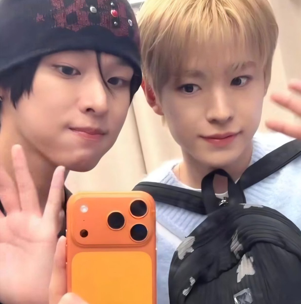 봄냥 tweet media