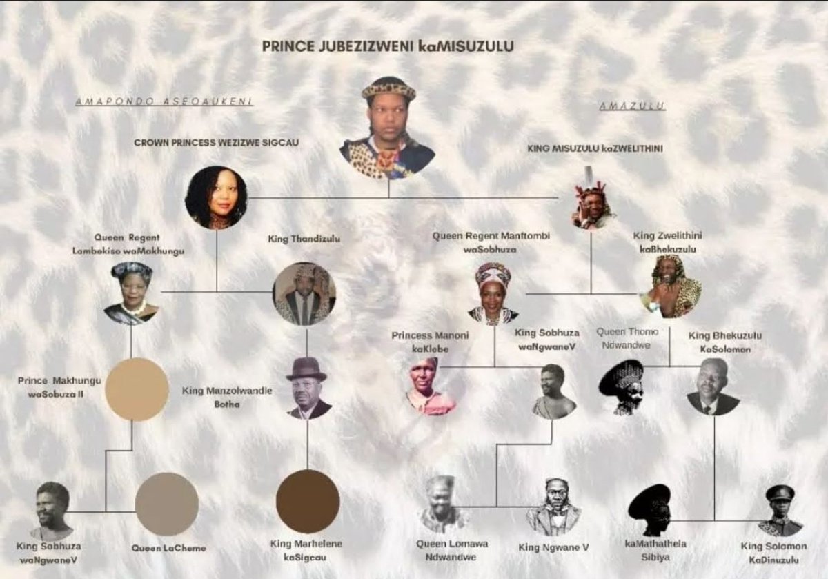 NtandoyenkosiS's tweet photo. King Sobhuza II is the maternal grandfather to the Zulu king &amp; maternal great grandfather to Princess weZizwe Sigcau.

I think full context would be of benefit in terms of the relation because just calling them cousin's makes it seem taboo

Here is an illustration. https://t.co/vSrLRirKpW
