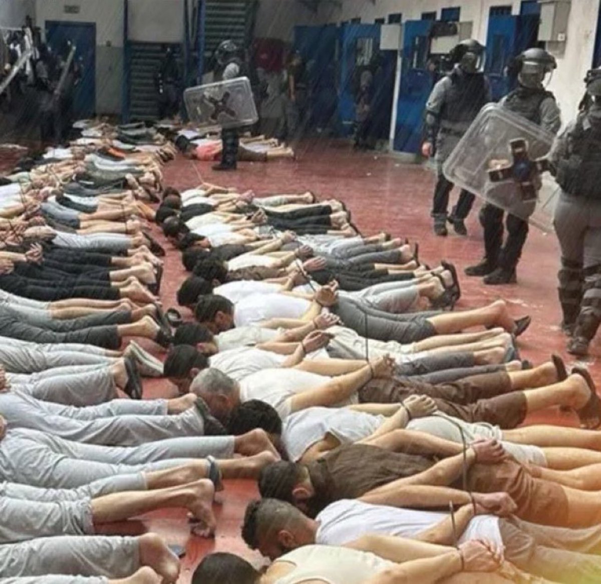 _shahwan's tweet photo. Son rehenes palestinos.
No escucho a ningún líder de Occidente exigiendo su liberación y condenando el trato inhumano al que están sometidos.
En qué momento, llevarse a una persona sin cargos, privarla de atención médica y defensa, ha pasado de llamarse secuestro a detención. https://t.co/Ce2tOmn8rH