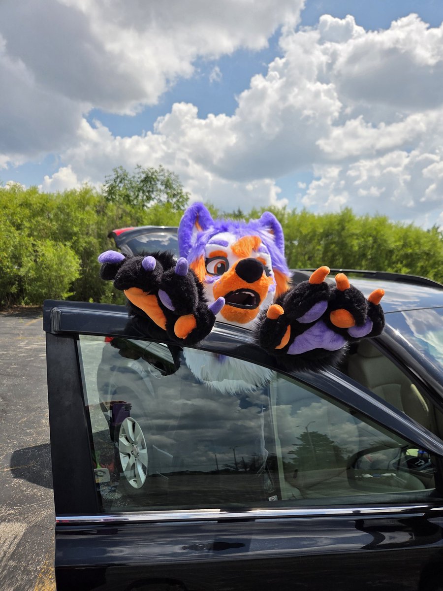 Violet_Goetia's tweet photo. New Fur, who dis?? 🪡@ArgetandLazuli https://t.co/UmGw7yJsiV