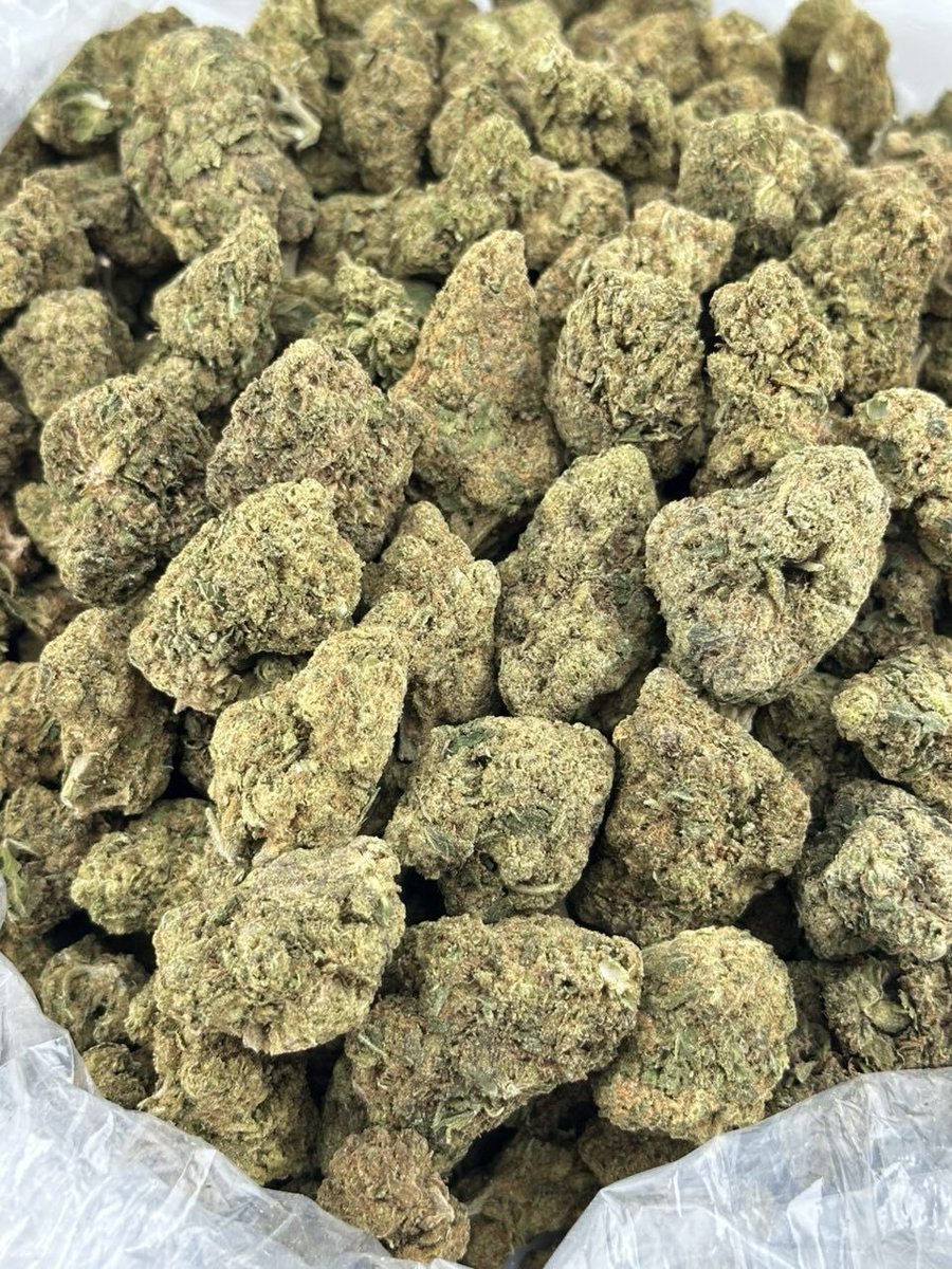 FirePacks420's tweet photo. Polar Bear 🔥💨😮‍💨 https://t.co/TeLU7IUobH
