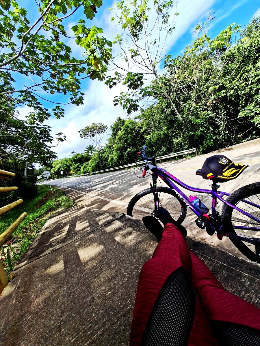 MiladysMartelo's tweet photo. 🚵🏻‍♀️ https://t.co/bYDxQrK7Pn