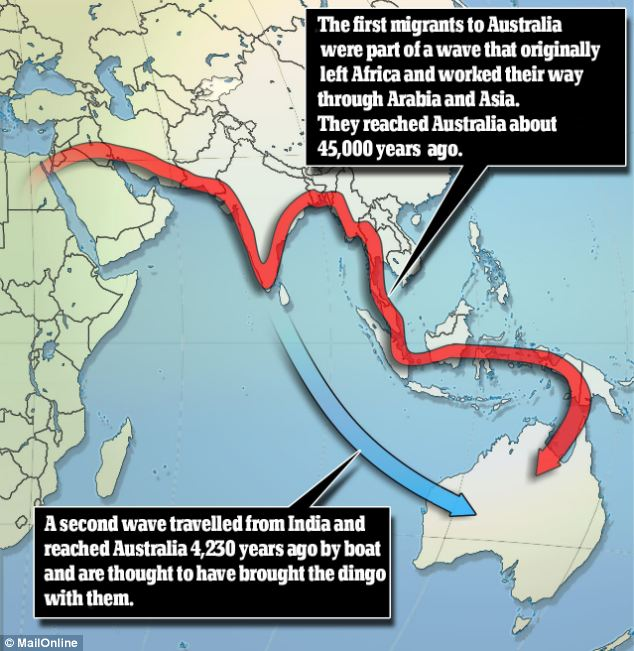 vishwasabha's tweet photo. @ramprasad_c Homo sapiens migrated from India the #FoundersZone to S E Asi &amp;, Australia around 65,000 years ago.
Are Indians Invading Australia or Europeans
https://t.co/6AiAJ3H7MZ https://t.co/fFffXzCUa9