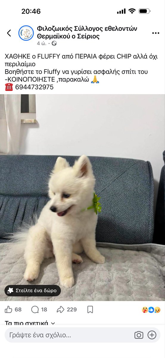 rikoulini's tweet photo. 🆘🆘 https://t.co/Brqidemvt6