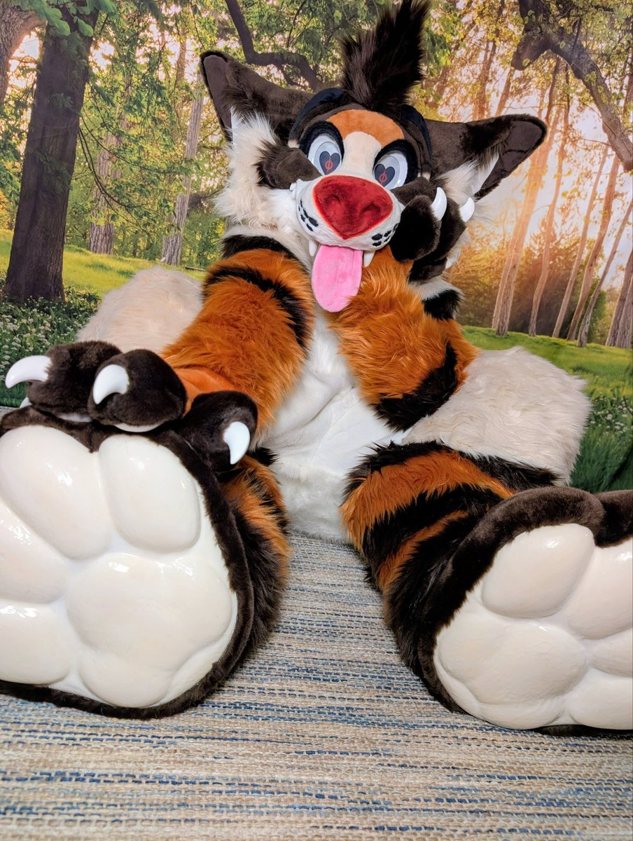 Archie 🔜 BLFC tweet media