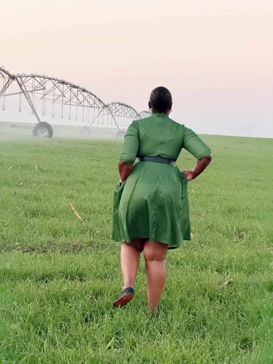 agribusiness110's tweet photo. Complete , uniform ground cover 🌾🌾🌾🌾 https://t.co/8vSWGtUSQf