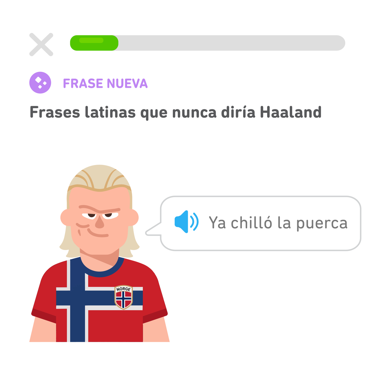 duolingoespanol's tweet photo. El verano que Haaland caaaasi se hace latino https://t.co/JdVjXkeC5k