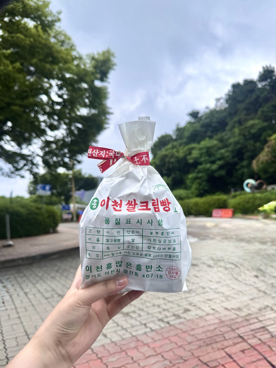 8_goki's tweet photo. 여름나기 🌿 https://t.co/1aoDDL3Drf