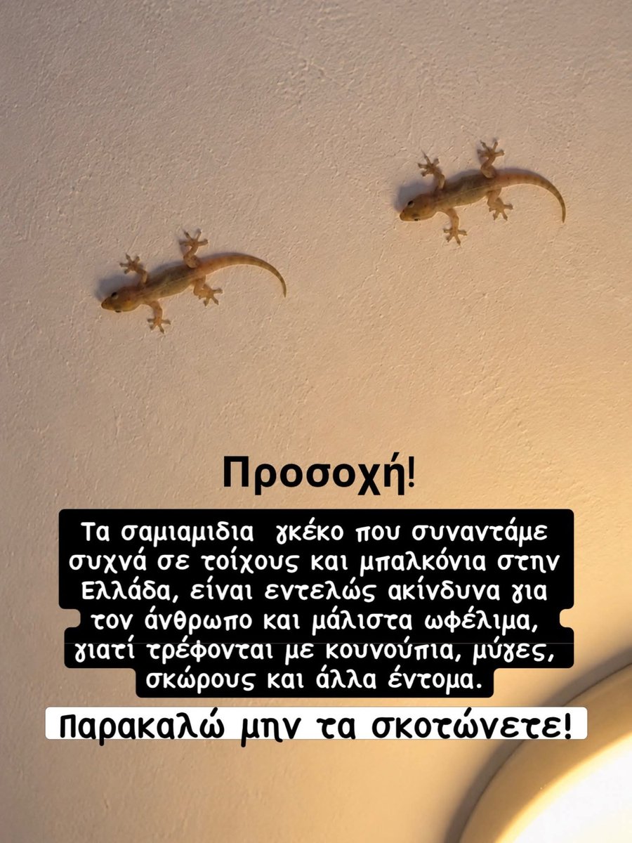 Nyxtolouloudo1's tweet photo. https://t.co/cdNYhOBAav