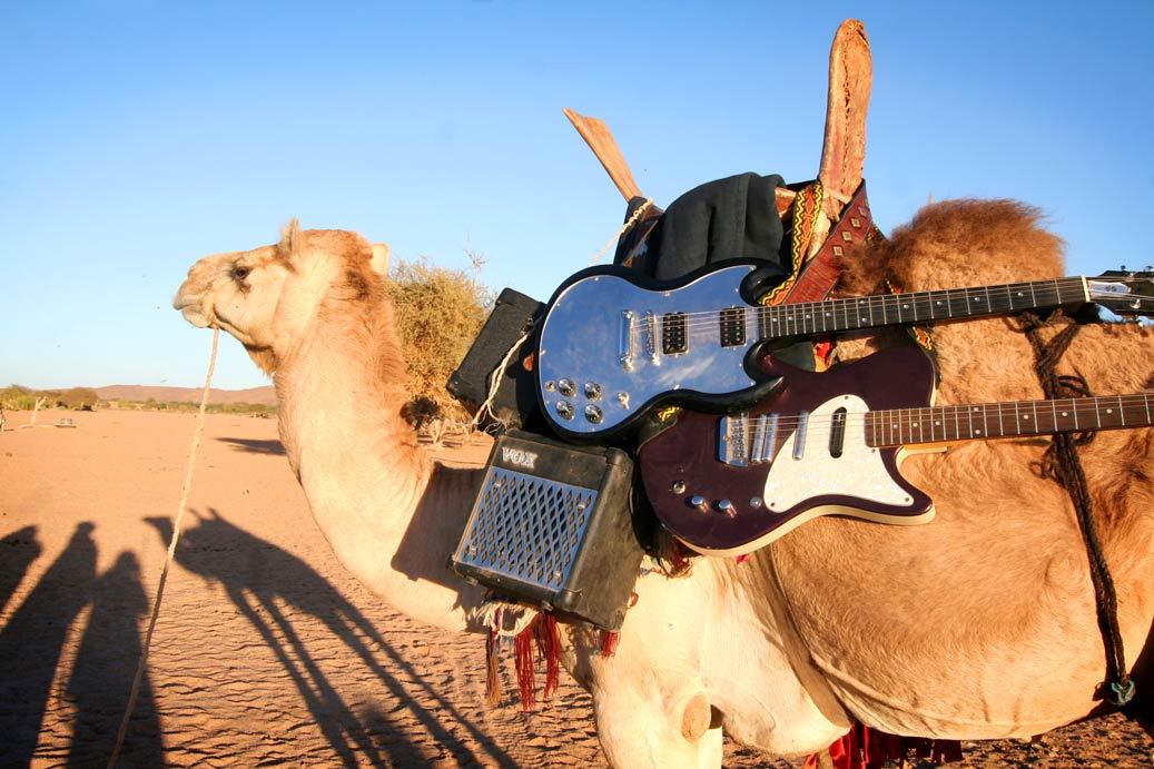 wana_visualss's tweet photo. 🏜 The guitars of Tinariwen, a Sahara based Tuareg rock band. https://t.co/h9yO3OORov