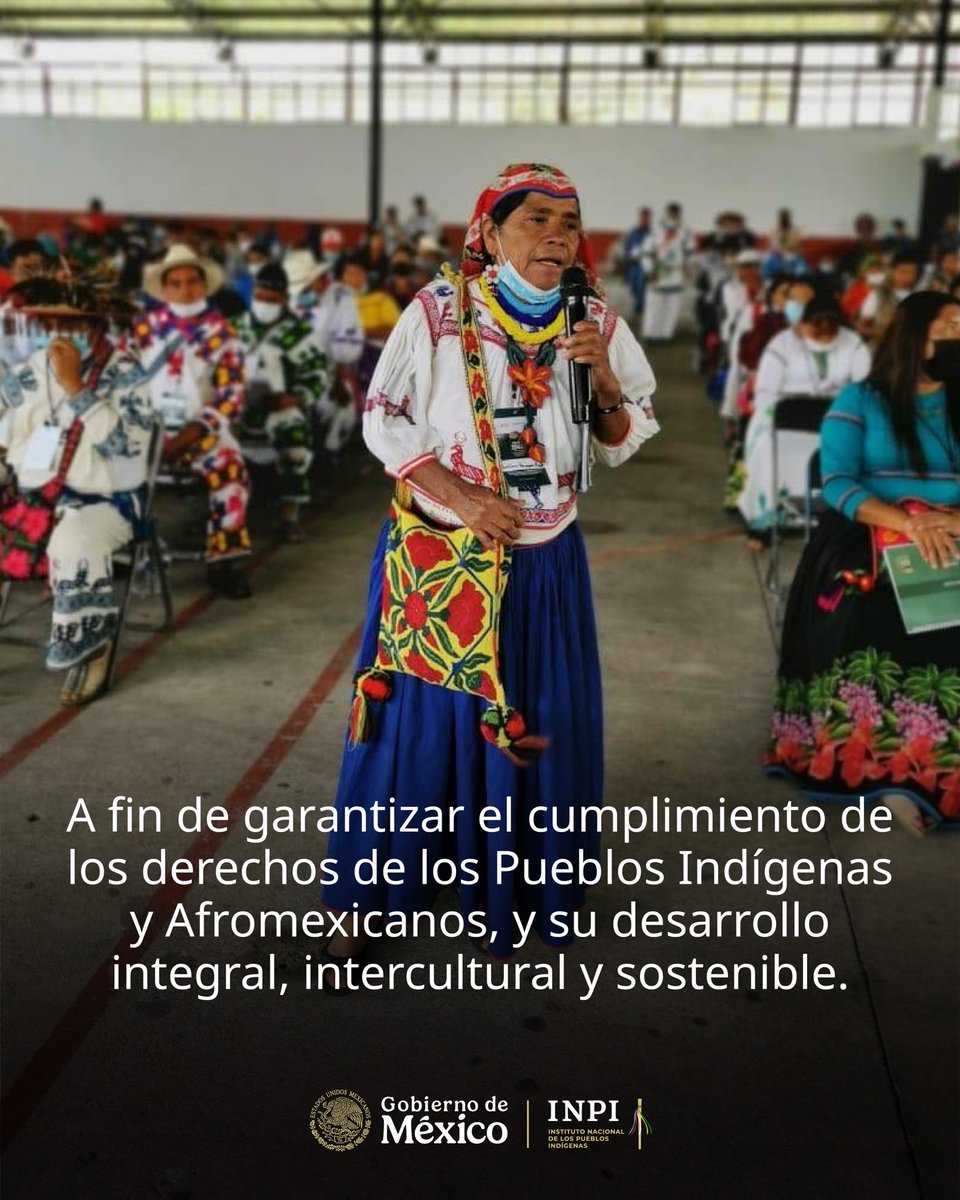 INPImx's tweet photo. La Propuesta de Iniciativa de Ley General de Derechos de los Pueblos Indígenas y Afromexicanos fortalece la coordinación entre la Federación, las entidades federativas, los municipios y las demarcaciones territoriales de la Ciudad de México para garantizar el pleno ejercicio de los derechos de los pueblos indígenas y afromexicanos.

Conoce más sobre el Libro VII: Distribución de competencias y coordinación de la Federación, las entidades federativas, los municipios y las demarcaciones territoriales de la Ciudad de México en el cuadernillo explicativo.

📖 Consúltalo aquí: https://t.co/pnZIGjLLjE