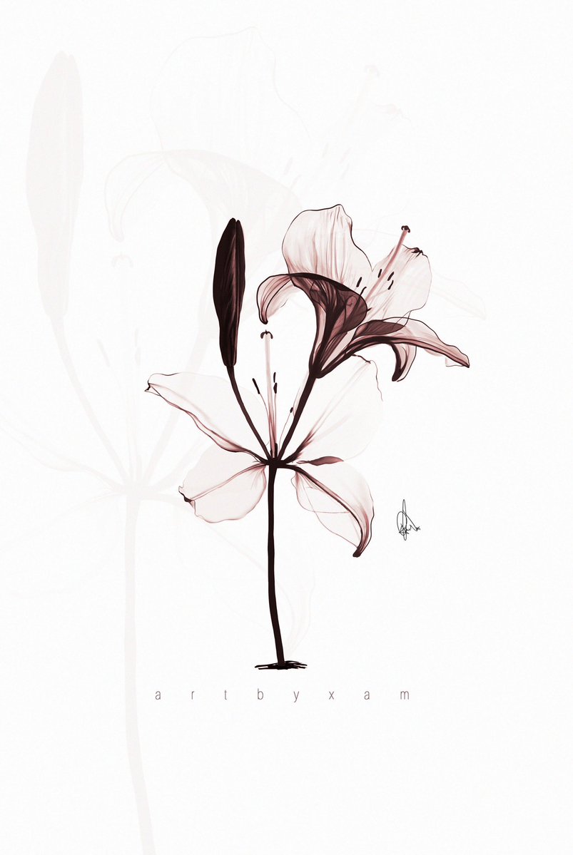 artbyxam's tweet photo. New art 🖼️ 
Day 6 : FLOWER

#TAFAnnivesaryChallenge https://t.co/m2djoGkW6e